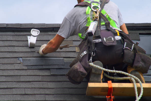 Best Roof Gutter Cleaning  in Harris Hill, NY