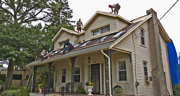 Best Roof Repair Services  in Harris Hill, NY
