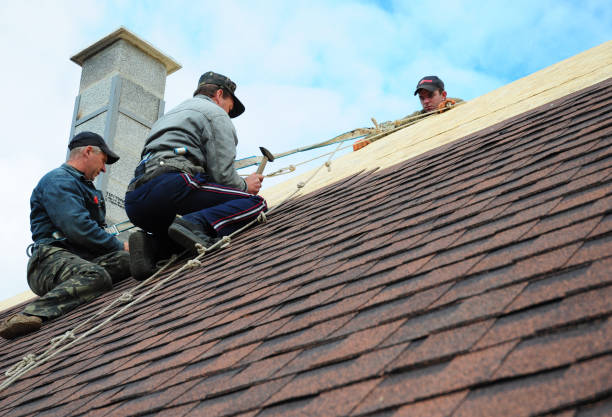 Best Metal Roofing Contractor  in Harris Hill, NY