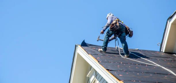 Best Roof Maintenance Services  in Harris Hill, NY